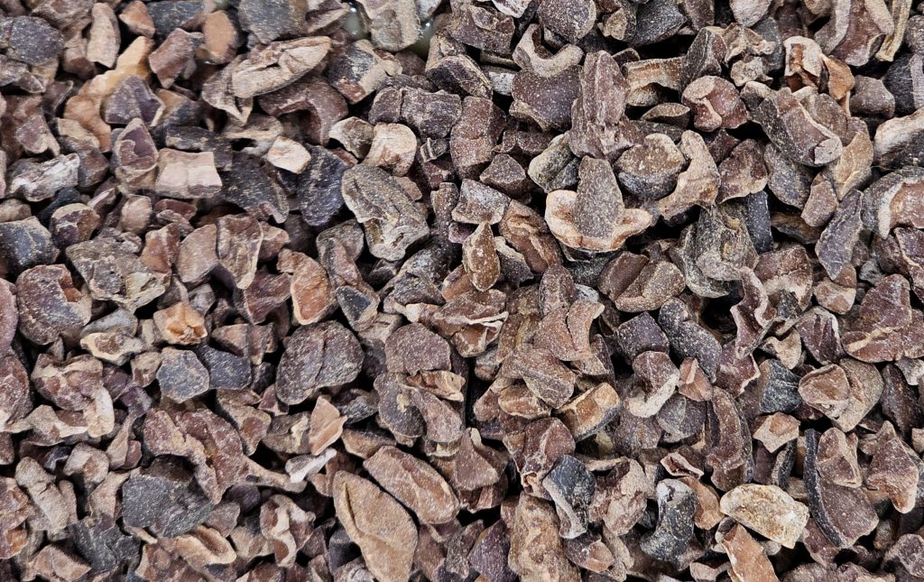 Granella di fave di cacao tostate, varietà criollo.