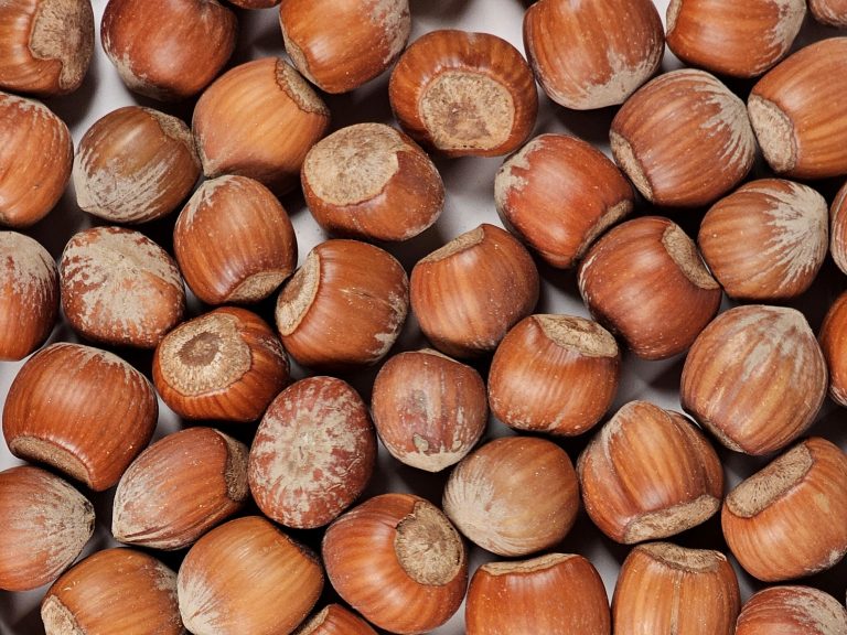 Nocciole italiane: eccellenza, gusto e benessere in un piccolo frutto